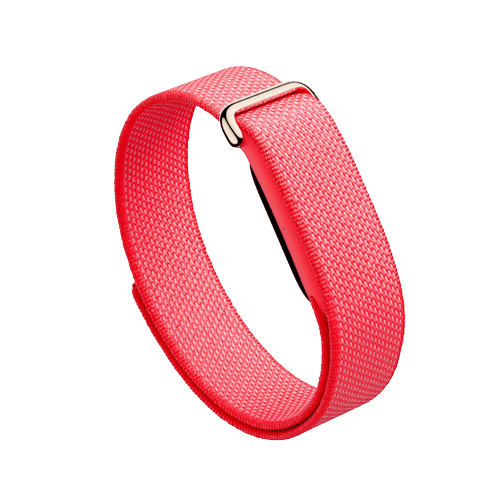 Google Fitbit Air – Berry